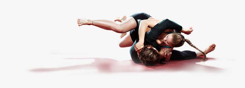 Setting It Up - Elephant, transparent png download