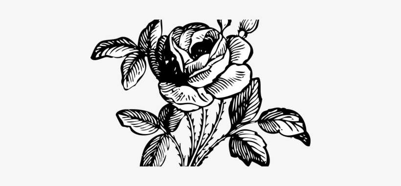 Jpg Library Download Images Of Rose Flowers Full Hd - Flower Bouquet Black And White, transparent png download