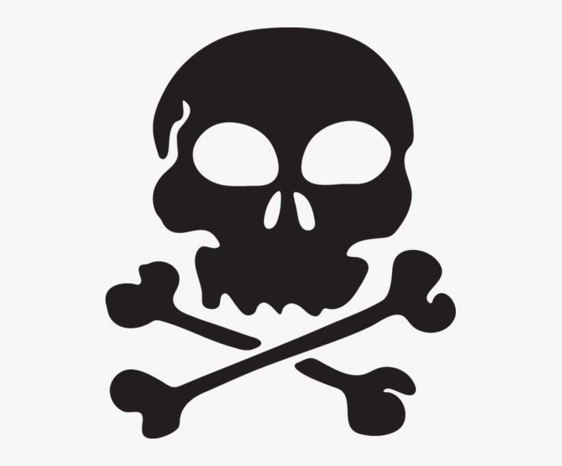 Vector Parrot Skull - Skull Clipart Transparent Background, transparent png download