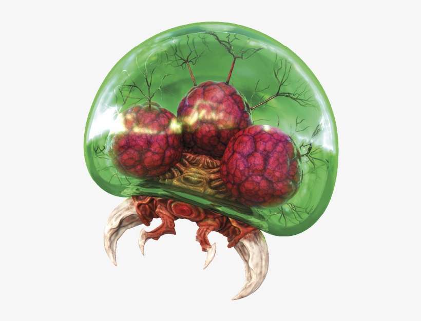 Metroid - Metroid Samus Returns Metroids, transparent png download