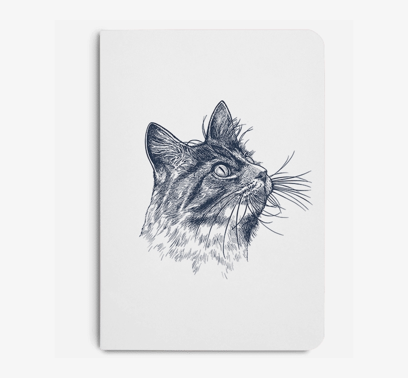 Dailyobjects Cat Eye A6 Notebook Plain Buy Online In - Animal, transparent png download