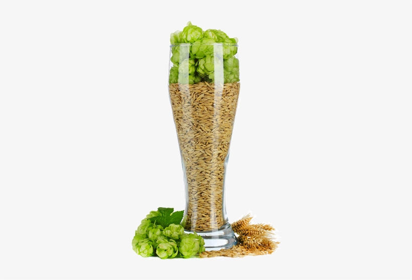 Single Malt, Single Hops - Single Malt Single Hops, transparent png download
