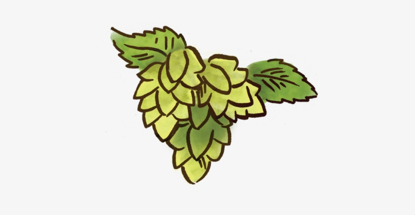 Hops - Illustration, transparent png download