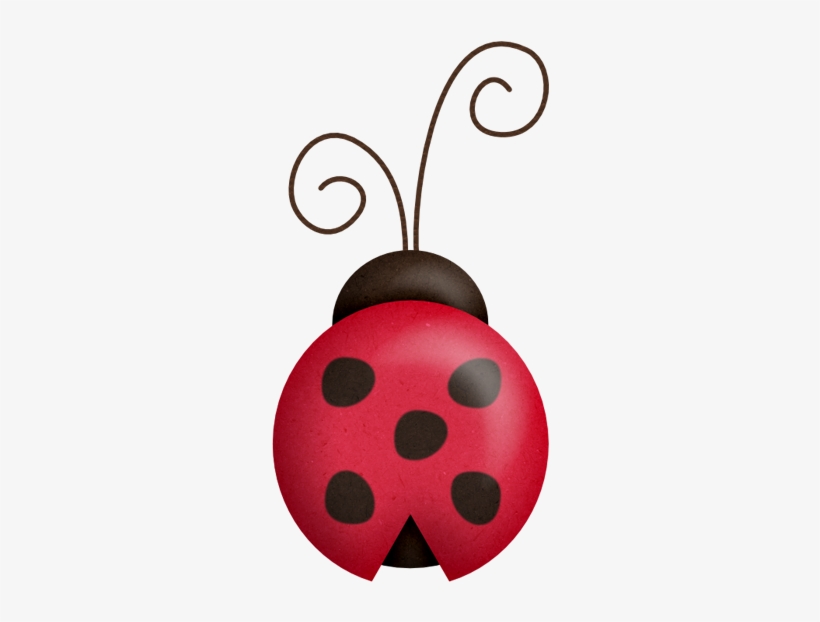 Фото, Автор Ladylony На Яндекс - Ladybird Beetle, transparent png download