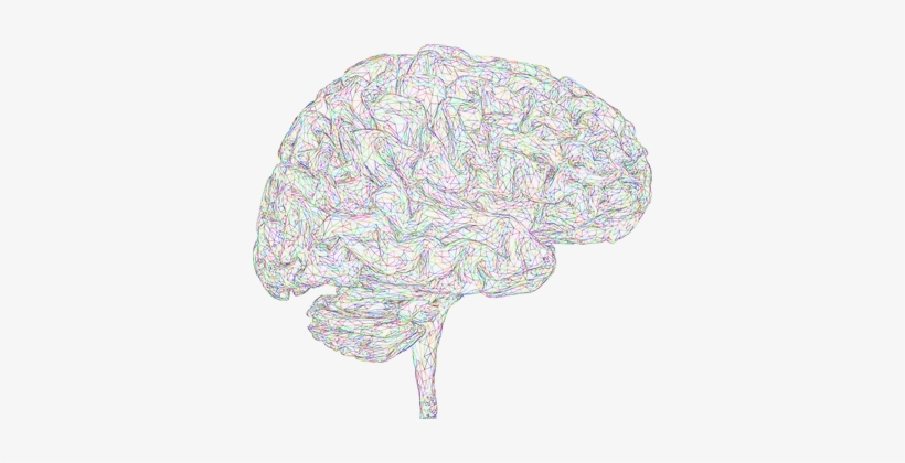 Brain, 3d, Thought, Mind, Mental, Think - Vector Graphics, transparent png download