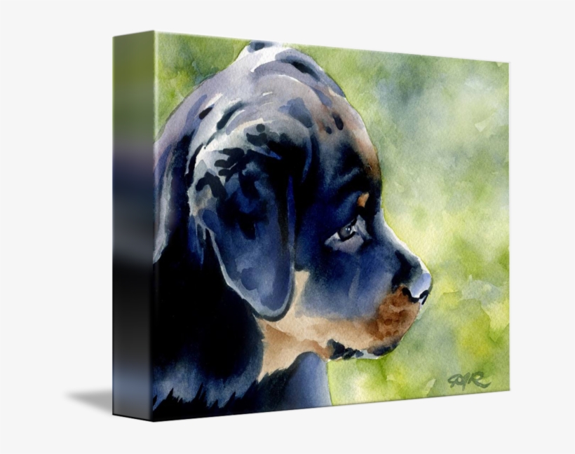 Rottweiler Puppy By David Rogers Clipart Black And - Rottweiler, transparent png download