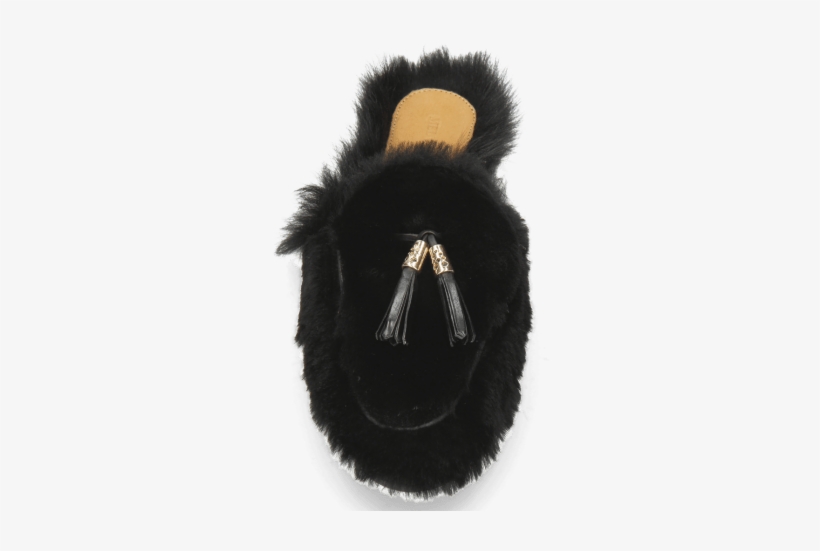 Fur Clothing, transparent png download