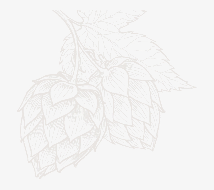 Now Open In Capitol View Near Downtown - Drawing, transparent png download