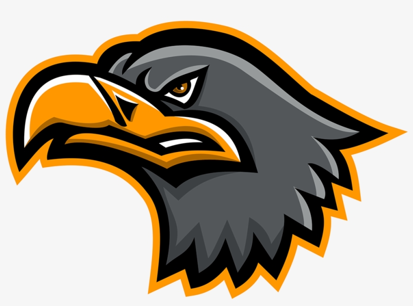 Sea Eagle, transparent png download