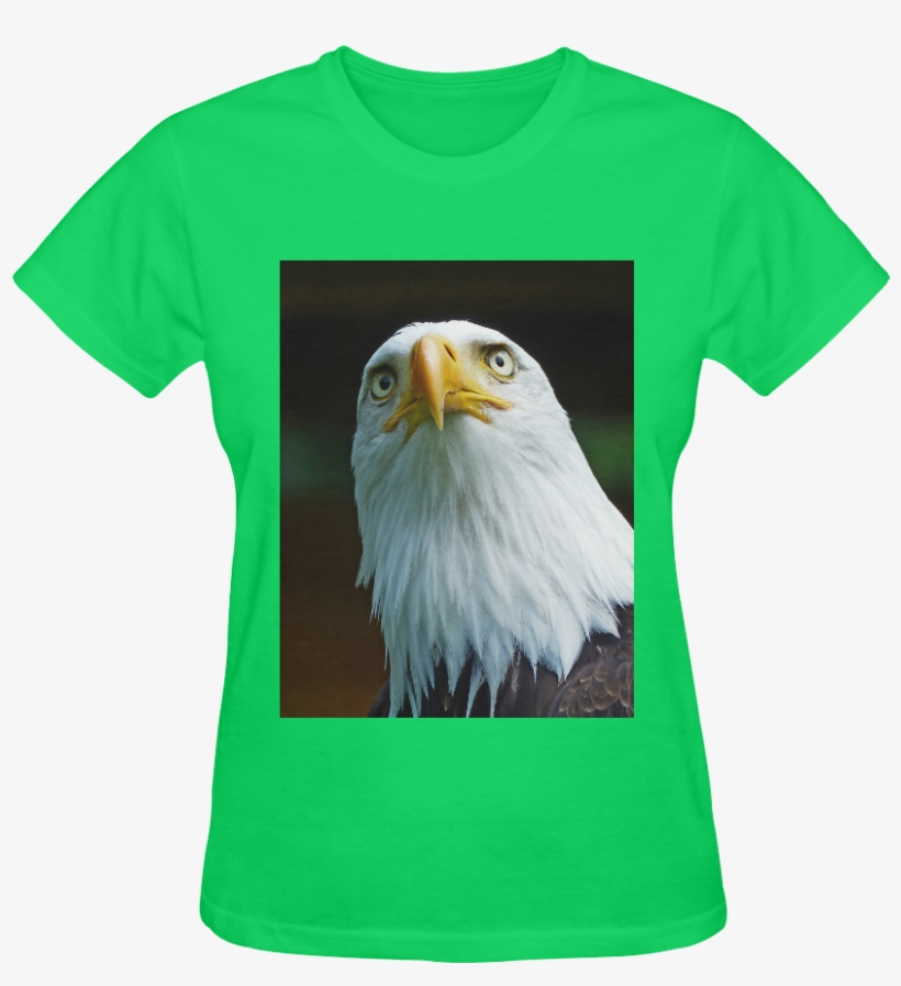 American Bald Eagle Head 001 03 Sunny Women's T-shirt - Amerikanischer Weißkopfseeadler-kopf Karte, transparent png download