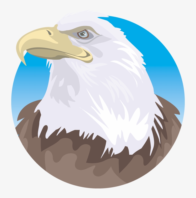 Clip Freeuse Free - Bald Eagle, transparent png download