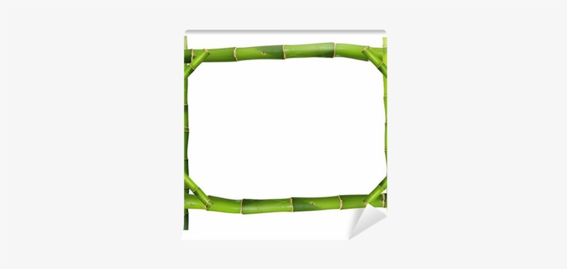 Bamboo, transparent png download