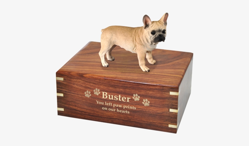 Wholesale French Bulldog Dog Urn Wholesale French Bulldog - Dog, transparent png download
