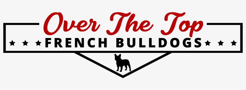 A Home Is Not Complete Without A French Bulldog - Bulldog, transparent png download