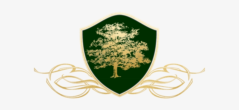 Tree Of Life Logo Web - Realm Of Radiance By Jonathan Herrick, transparent png download
