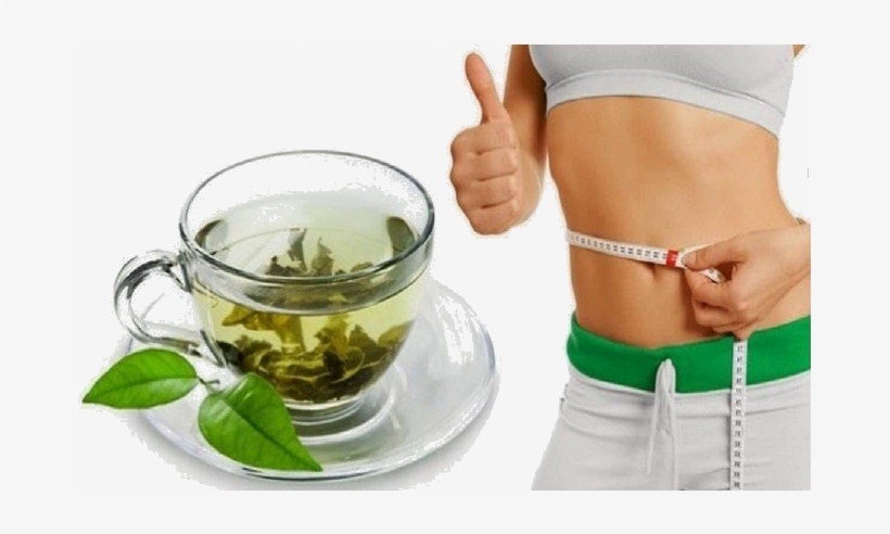 It Promotes Weight Loss - Tea Fat Loss, transparent png download