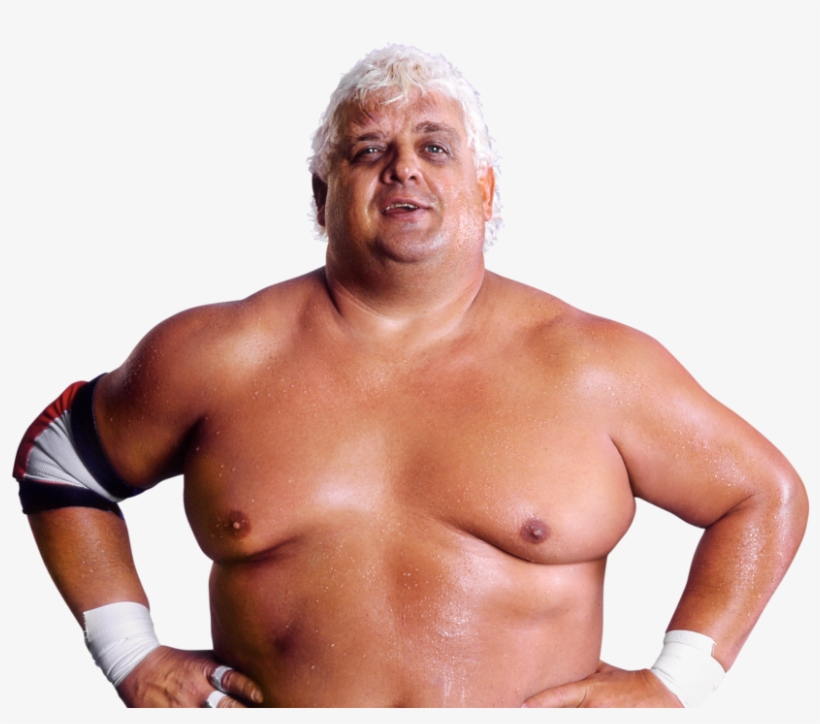 Dusty Rhodes Pro - Wwe Dusty Rhodes Png, transparent png download