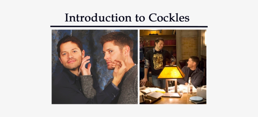 “ Real Person Fiction Is The Black Sheep Of The Fanfiction - Destiel Fanfiction, transparent png download