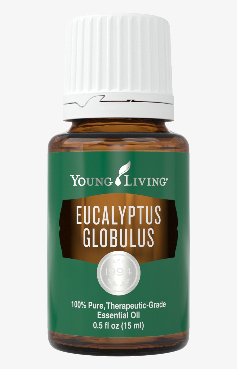Young Living Eucalyptus Globulus Essential Oil 15 Ml, transparent png download