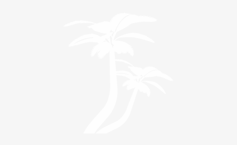 Presentation, transparent png download