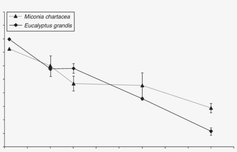 Percentage Of Leaf Weight Remaining Of Miconia Chartacea - Diagram, transparent png download