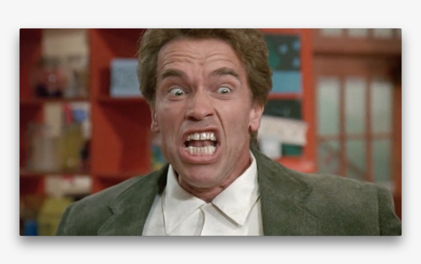 Screen Shot 2017 07 26 At - Arnold Schwarzenegger Googly Eyes, transparent png download