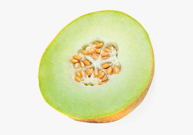 America's Favorite Melon, Bursting With Healthy Essential - Muskmelon, transparent png download