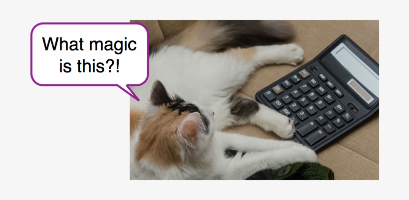 Education Perfect - Shutterstock, transparent png download