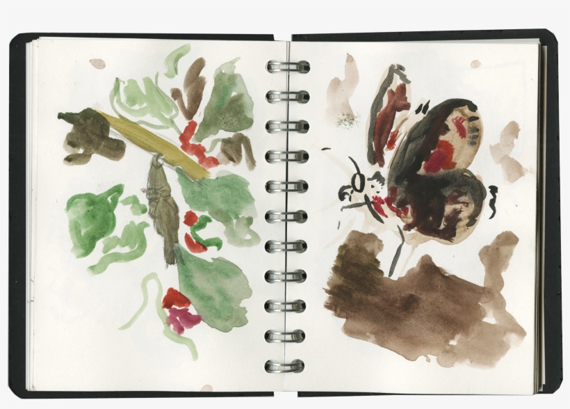 Sketchbook - Watercolor Paint, transparent png download
