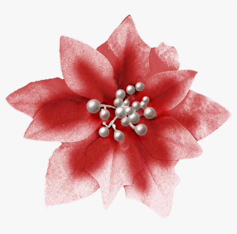 Фотки Navidad Blanca, Feliz Navidad, Clipart De Flor, - Christmas Day, transparent png download