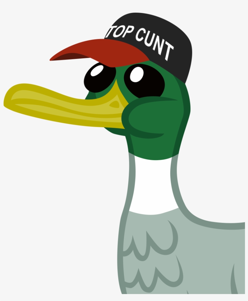 Baseball Cap, Duck, Hat, Op, Op Is A Duck, Reaction - Duck With Gun Png, transparent png download