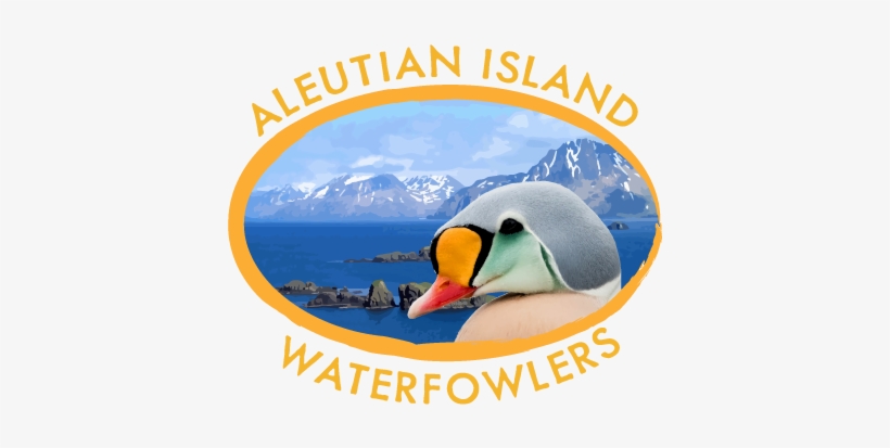 Alaksa Duck Hunting Guides Logo - Cold Bay, transparent png download
