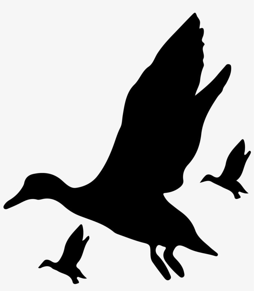 Duck Hunt Package - Duck, transparent png download
