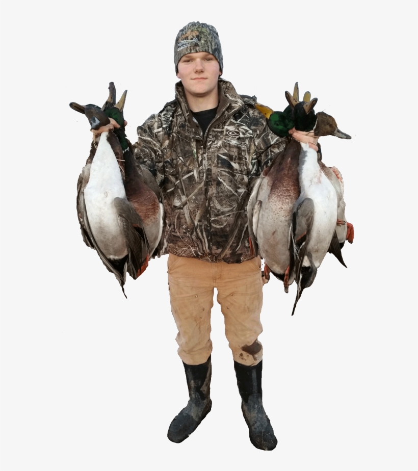 Western Mn Duck Hunt Prices - Waterfowl Hunting, transparent png download