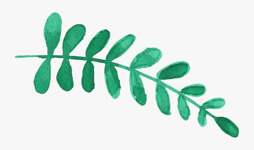 14 Watercolor Leaf Vol - Watercolor Flowering Leaves Png, transparent png download