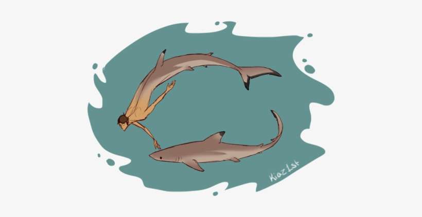 2 - Tiger Shark, transparent png download