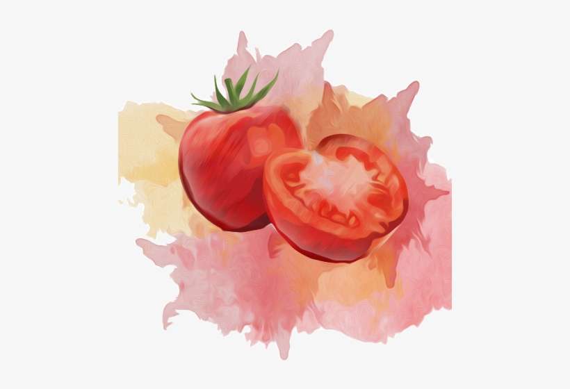 Picsart Photo Studio, transparent png download