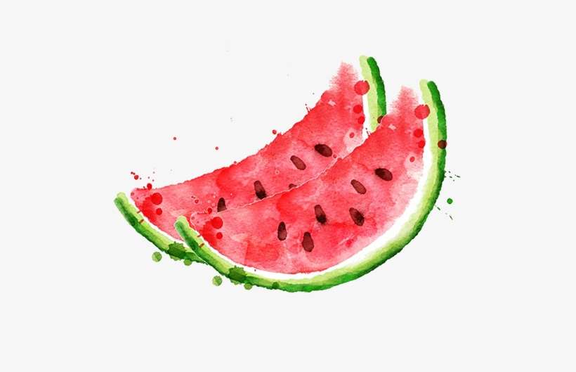 Watercolor Watermelon Vector, transparent png download