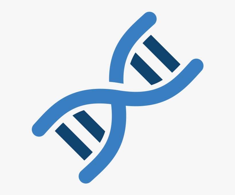 Dna Png Image - Dna Png, transparent png download