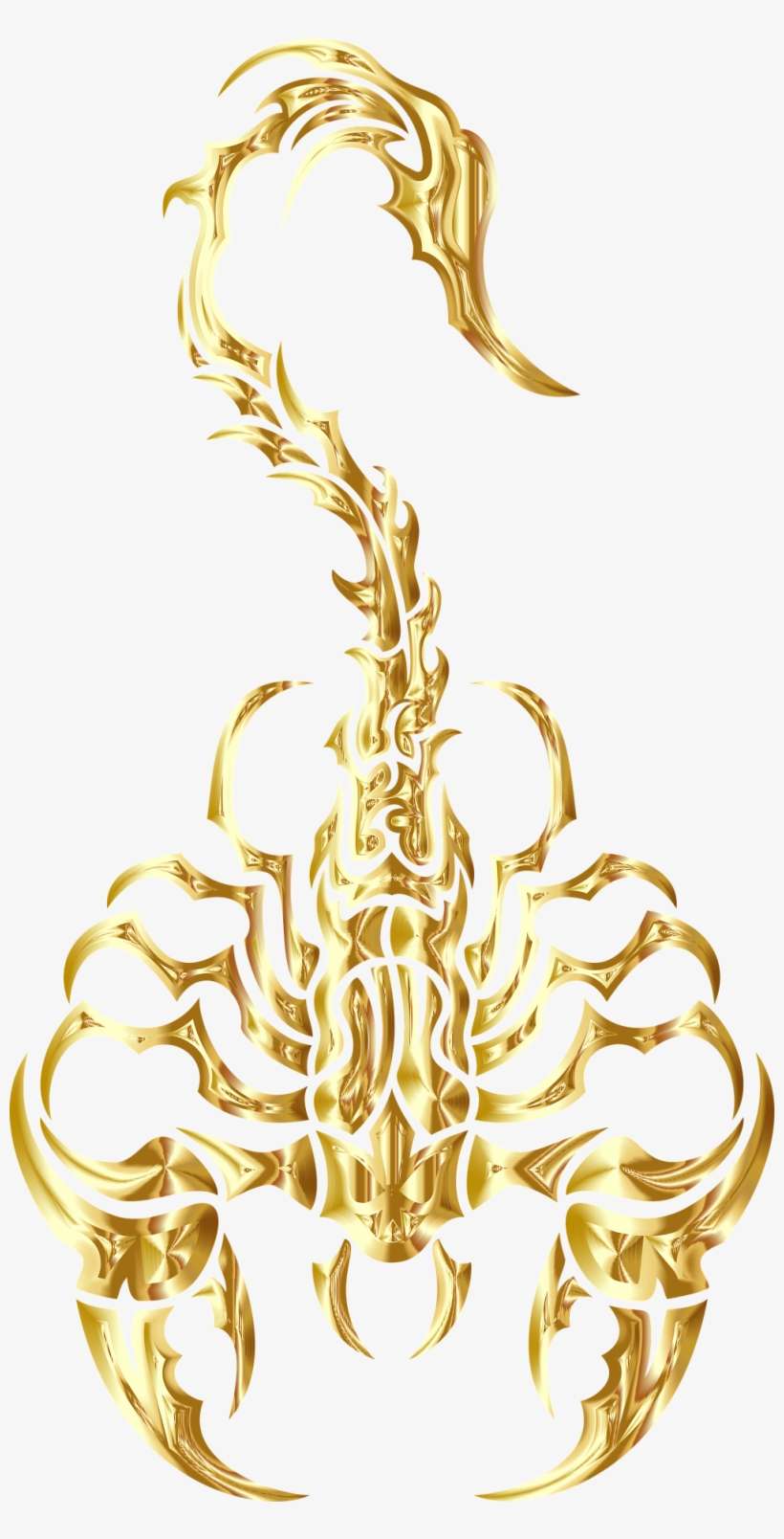 Scorpion - Cafepress ! Samsung Galaxy S8 Case, transparent png download
