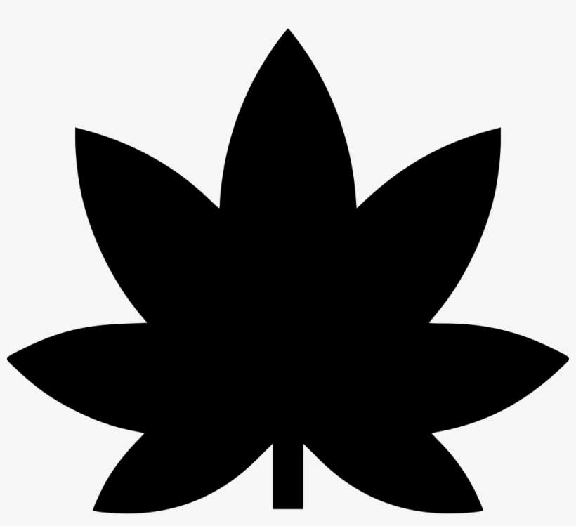 Leaf Plant Cannabis Drugs Medical Marijuana Comments - Maple Leaf, transparent png download