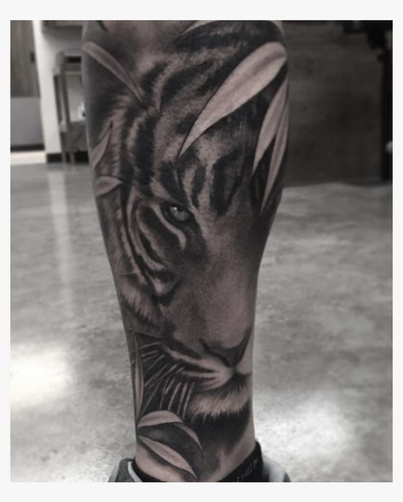 Tiger, transparent png download