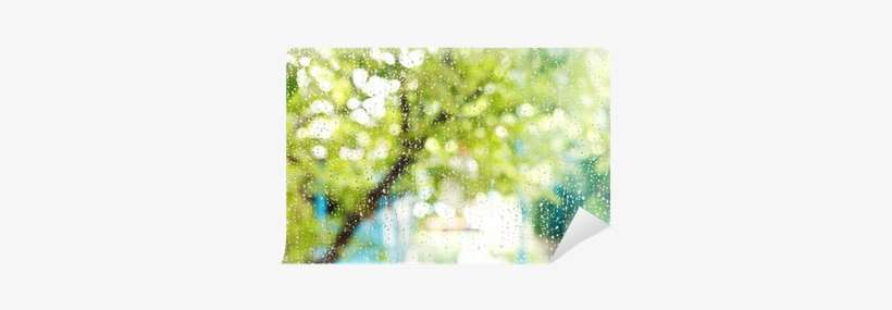 Home Window With Raindrops After Summer Rain Wall Mural - Psychodynamic Treatment Of Depression By Fredric N., transparent png download