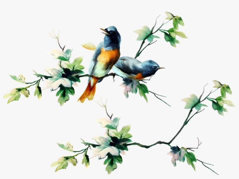 Photoshop - Butterflies On Branches, transparent png download