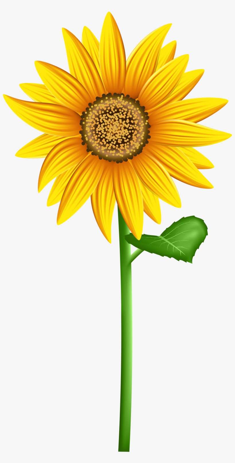 Transparent Background Clip Art Sun Flower, transparent png download