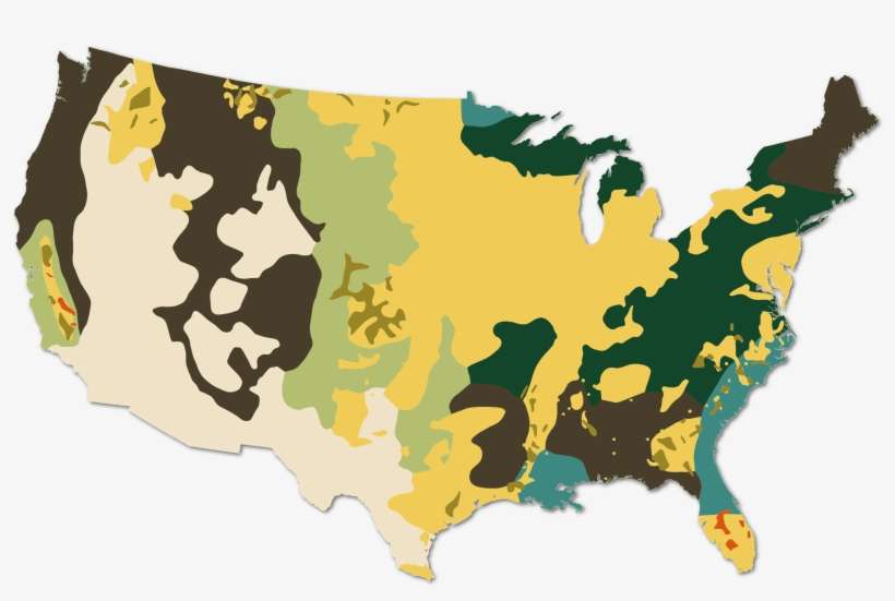 Cropscape Data Layer National Processed And Smoothed - United States Resources Map, transparent png download