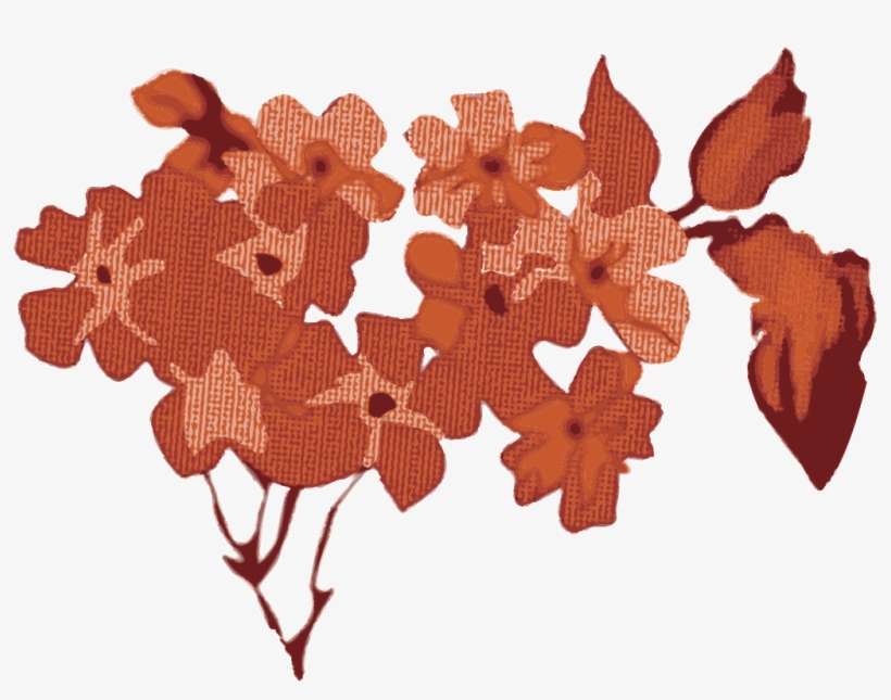 This Graphics Is Autumn Leaves Cartoon Transparent Seahorse Png Image Transparent Png Free Download On Seekpng