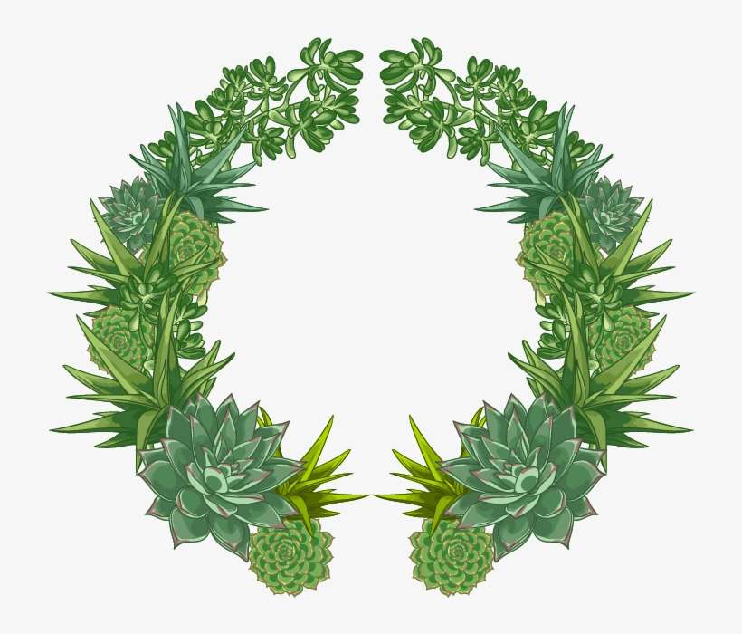 Cactaceae Flower Watercolor Painting - Green Wreath Watercolor Png, transparent png download