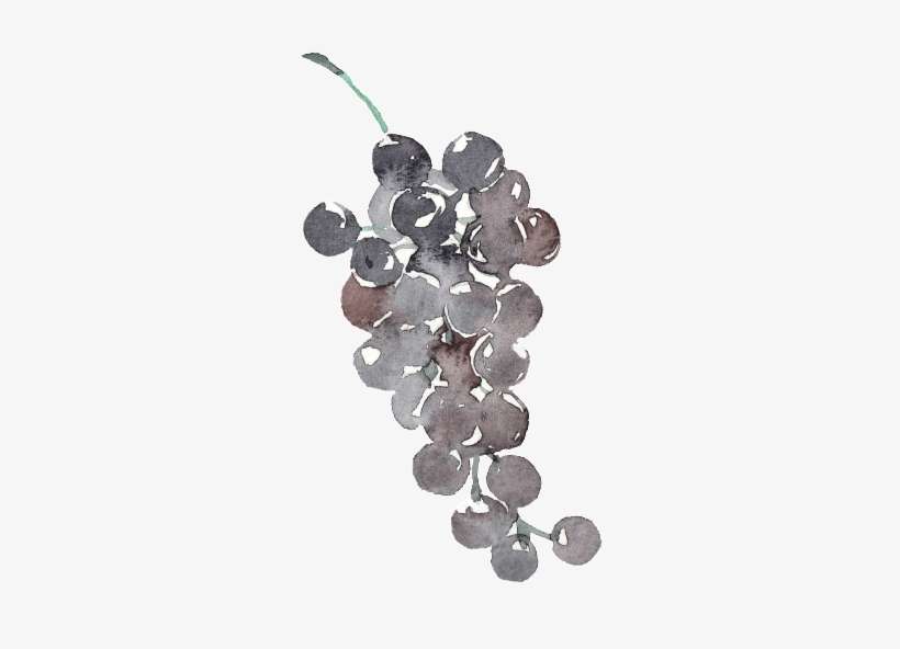 Creative Grape Design Transparent Watercolor - Design, transparent png download