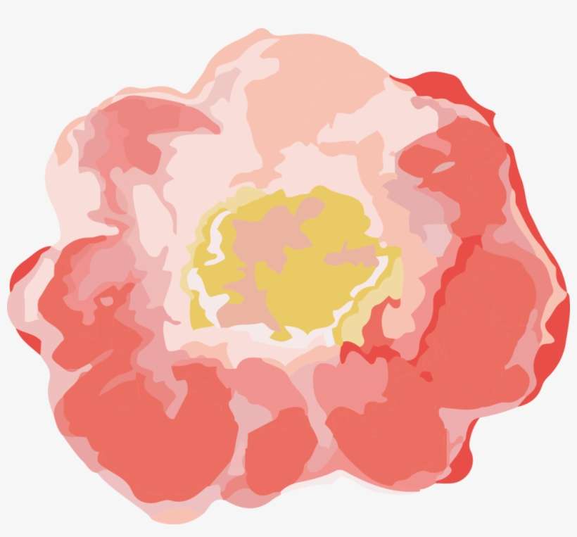 Coral Flowers Png Png Free Library - Coral Flower Png, transparent png download